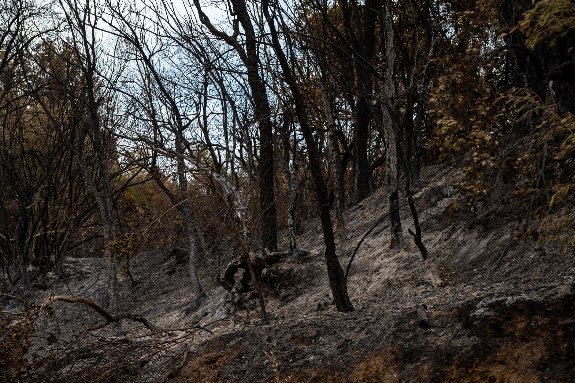 Burnett Gulch fire: Clear update on containment progress