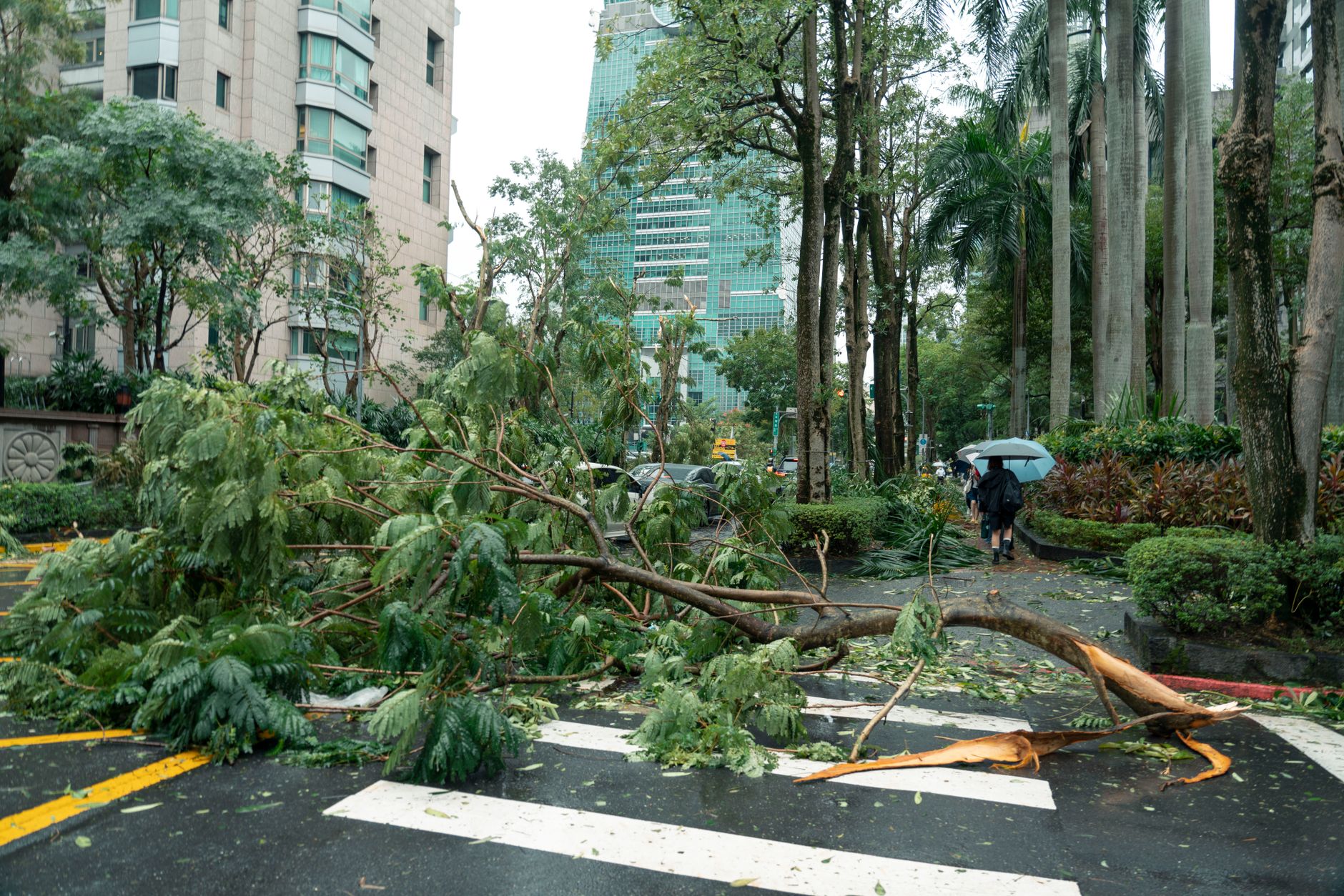 Typhoon Dujuan: Worst Impact on Tokyo with Proven Safety Tips